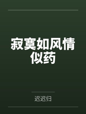 寂寞如风情似药封面