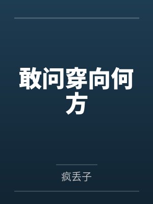 敢问穿向何方封面