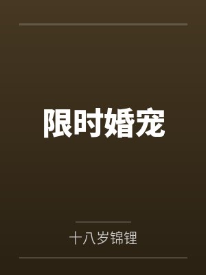 限时婚宠封面