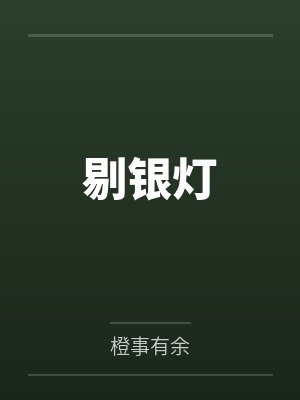 剔银灯封面