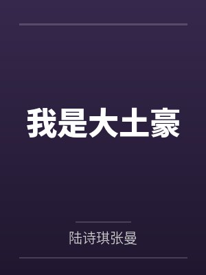 我是大土豪封面