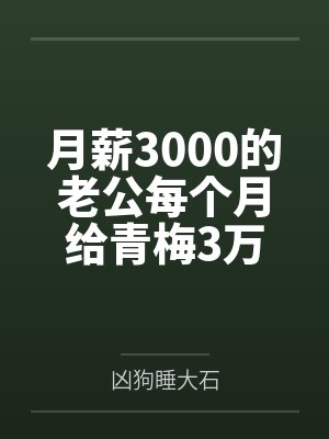月薪3000的老公每个月给青梅3万封面