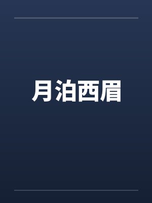 月泊西眉的大漠长风封面