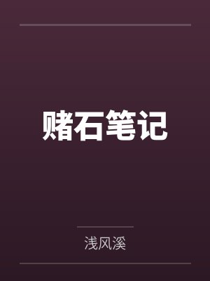赌石笔记封面