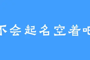 不会起名空着吧