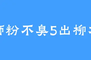 螺蛳粉不臭5出柳才臭