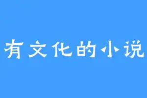 没有文化的小说家