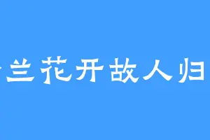 铃兰花开故人归来