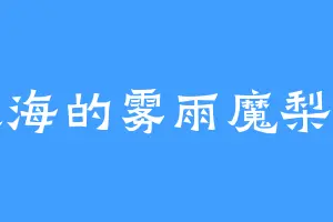灵海的雾雨魔梨沙