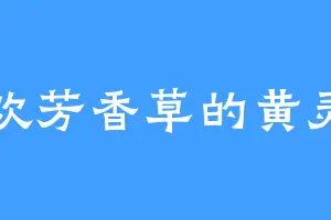 喜欢芳香草的黄灵山