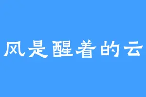 风是醒着的云