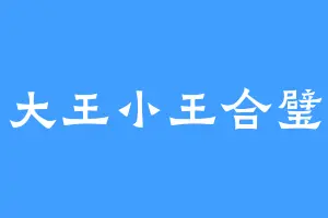 大王小王合璧