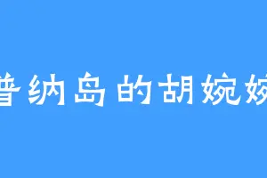 普纳岛的胡婉婉