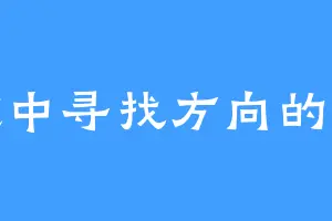 迷途中寻找方向的老狼