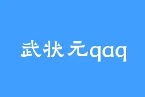 武状元qaq