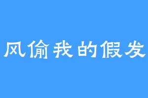 风偷我的假发