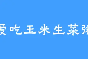 爱吃玉米生菜粥