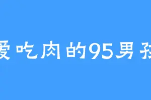 爱吃肉的95男孩