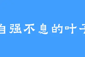 自强不息的叶子