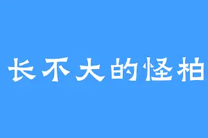长不大的怪柏