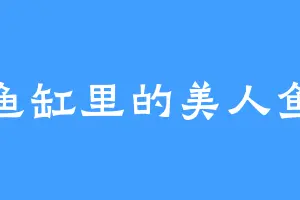 鱼缸里的美人鱼
