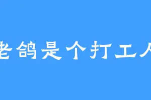 老鸽是个打工人