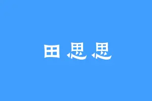 田思思
