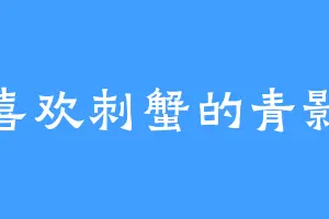 喜欢刺蟹的青影