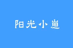 阳光小崽