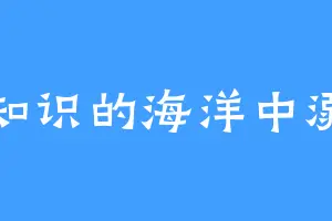 在知识的海洋中溺水