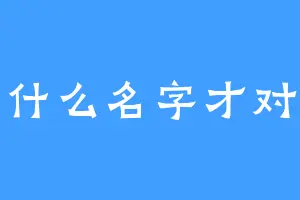 起什么名字才对呢
