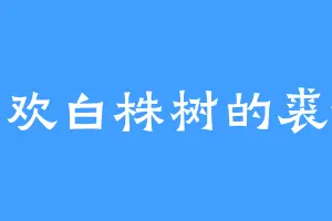 喜欢白株树的裘德