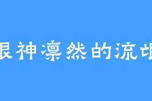 眼神凛然的流氓