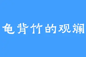 种龟背竹的观斓居