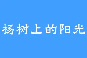 杨树上的阳光
