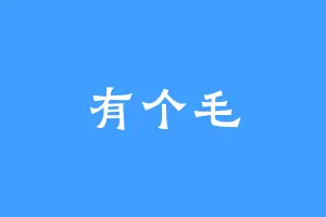 有个毛