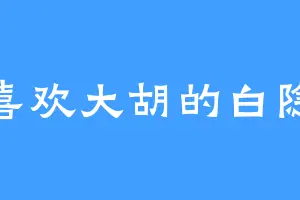 喜欢大胡的白隐