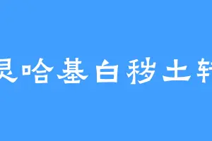 水灵哈基白秽土转生