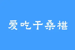 爱吃干桑椹