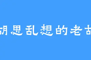 胡思乱想的老胡