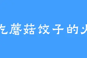 爱吃蘑菇饺子的火影