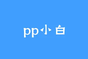 pp小白