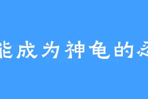 不能成为神龟的忍者