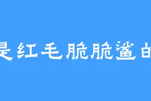 我是红毛脆脆鲨的矛