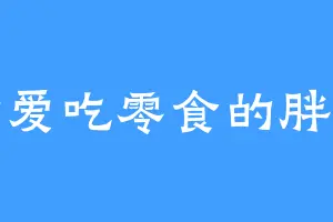 特爱吃零食的胖子