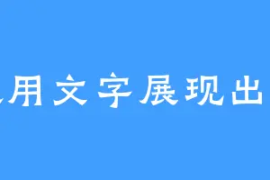 喜欢用文字展现出来的