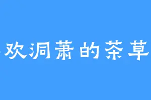 喜欢洞萧的茶草洵