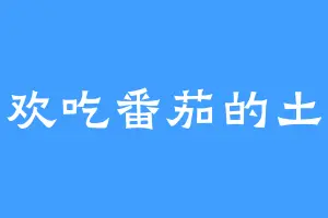 喜欢吃番茄的土豆