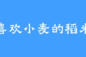 喜欢小麦的稻米
