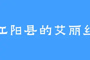 江阳县的艾丽丝
